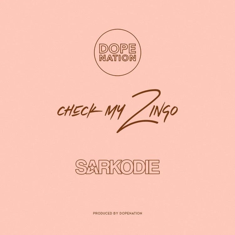 DopeNation Check My Zingo Remix ft Sarkodie